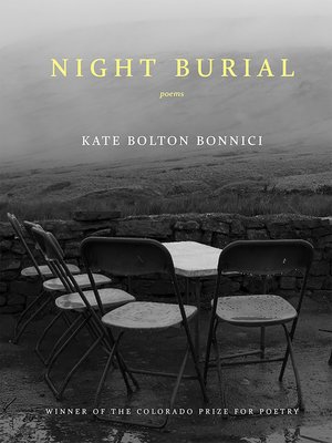cover image of Night Burial